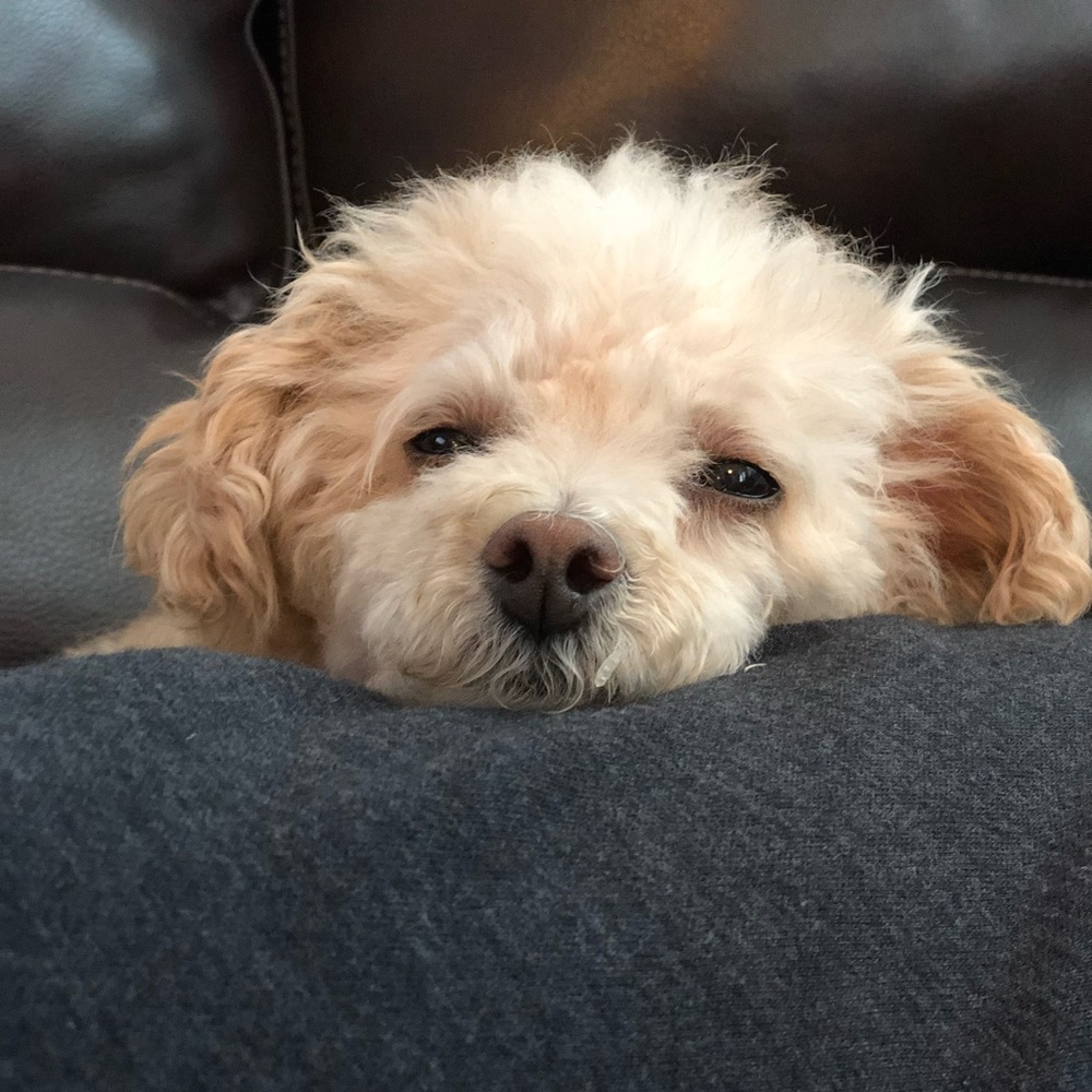 Meet your Posher, Faith